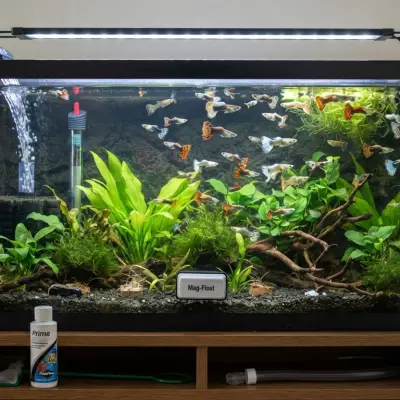 Guppy Tank Equipment Guide