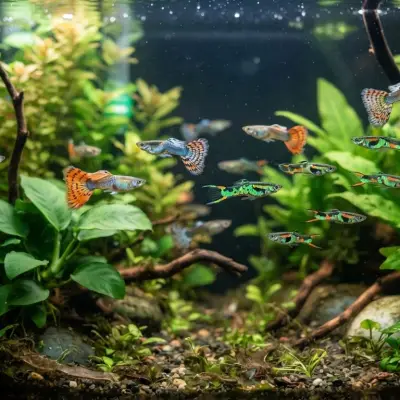 Can Guppies Live With Endlers?